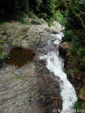EW20110424 105937
