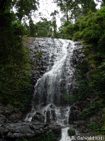 EW20110424 110003