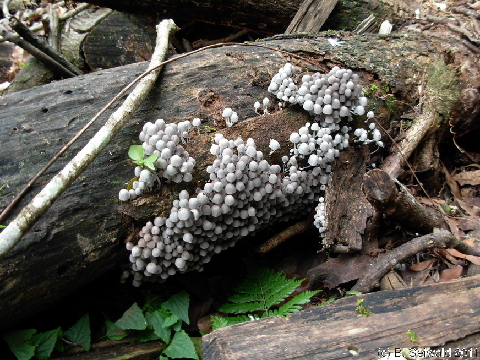 EW20110424 111227