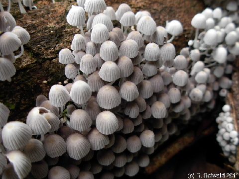 EW20110424 111246