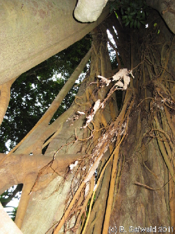 EW20110424 111516