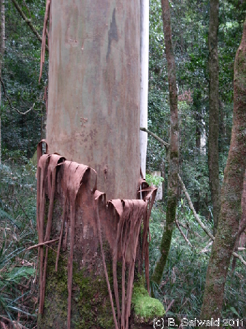 EW20110424 112937