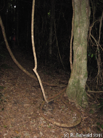 EW20110424 113619