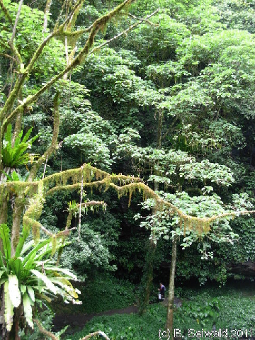 EW20110424 115306