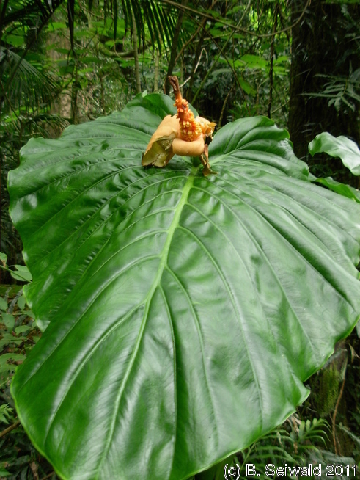 EW20110424 115819