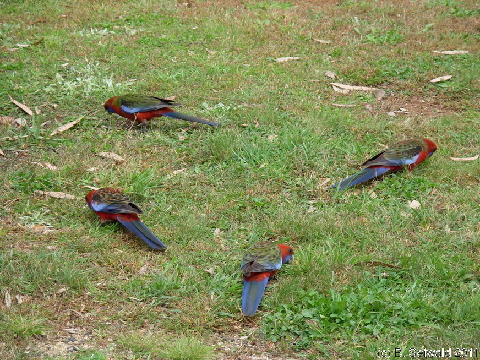 EW20110424 145210