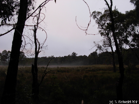 EW20110425 062624