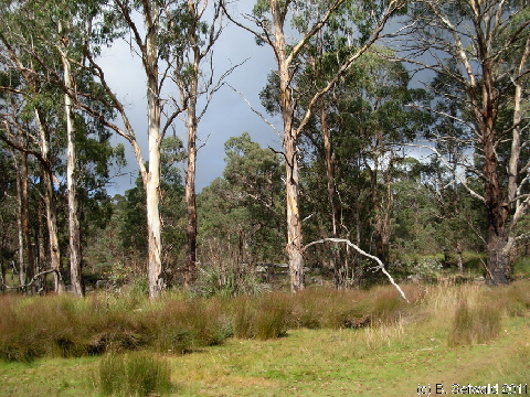 EW20110425 095249