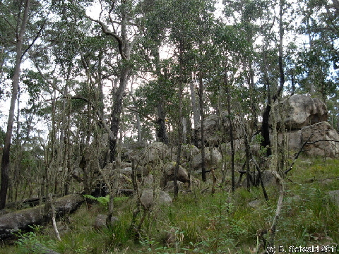EW20110425 095851