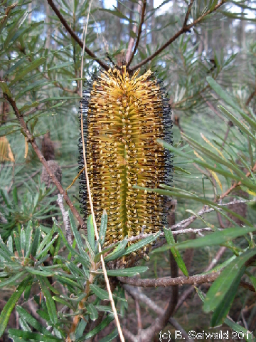 EW20110425 102000