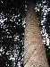 EW20110423-163515