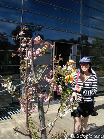 EmbassyOfFinland20130929 140806