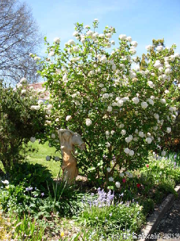 EmbassyOfSouthAfrica20130929 124738