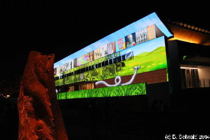Enlighten20140307 205922