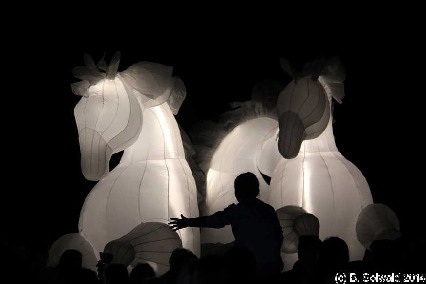 Enlighten20140307 210934
