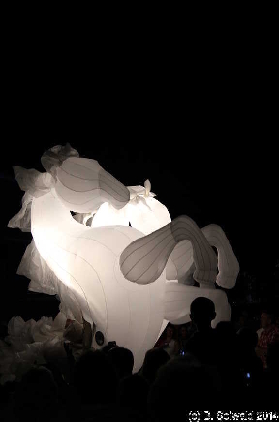 Enlighten20140307 211105