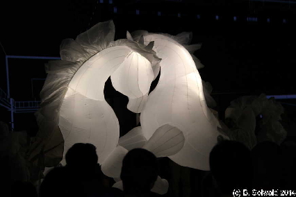 Enlighten20140307 211136