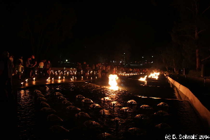 Enlighten20140307 211705