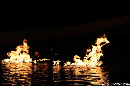 Enlighten20140307 214255
