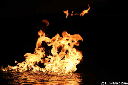 Enlighten20140307 214338