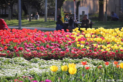 Floriade20140928 155115