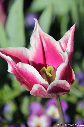 Floriade20140928 155931
