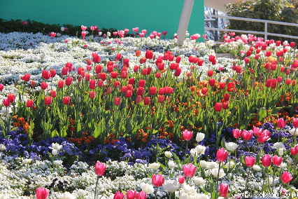 Floriade20140928 160016