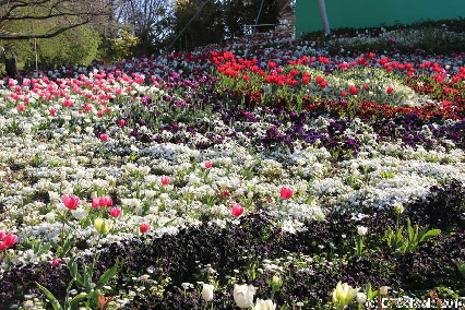 Floriade20140928 160047