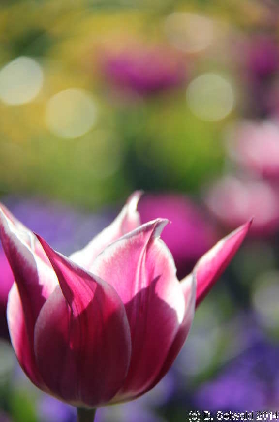 Floriade20140928 160458