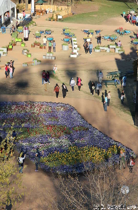 Floriade20140928 165523