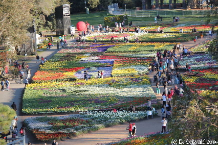 Floriade20140928 165708