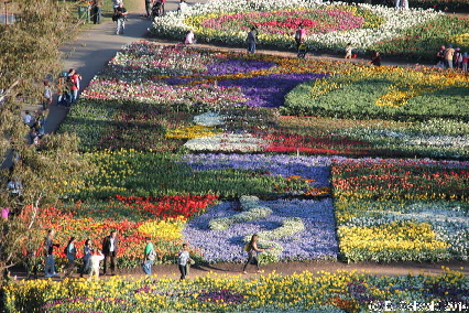 Floriade20140928 165841