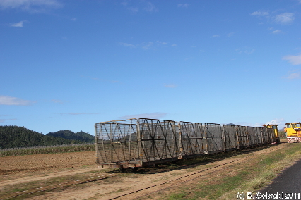 ATHERTONTABLELANDS20110725 092733