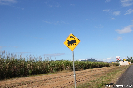 ATHERTONTABLELANDS20110725 092741