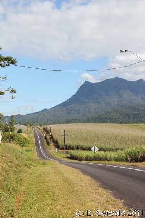 ATHERTONTABLELANDS20110725 093020