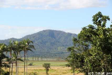 ATHERTONTABLELANDS20110725 094104