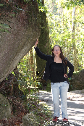 ATHERTONTABLELANDS20110725 095025