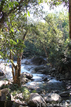 ATHERTONTABLELANDS20110725 095217