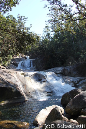 ATHERTONTABLELANDS20110725 095445