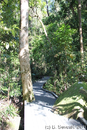 ATHERTONTABLELANDS20110725 100340
