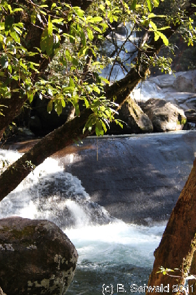 ATHERTONTABLELANDS20110725 100739