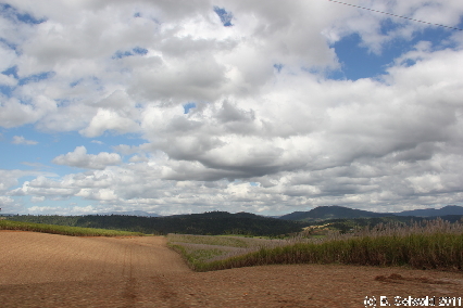 ATHERTONTABLELANDS20110725 110126
