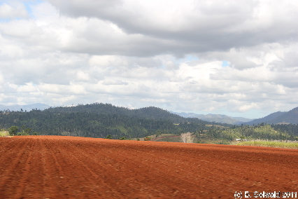 ATHERTONTABLELANDS20110725 110154