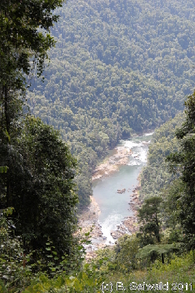 ATHERTONTABLELANDS20110725 112203