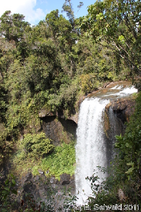 ATHERTONTABLELANDS20110725 120559