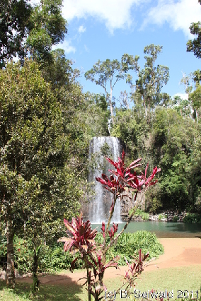 ATHERTONTABLELANDS20110725 122629