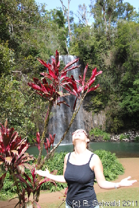 ATHERTONTABLELANDS20110725 122822