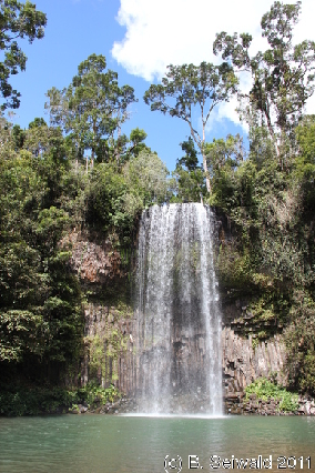 ATHERTONTABLELANDS20110725 123033
