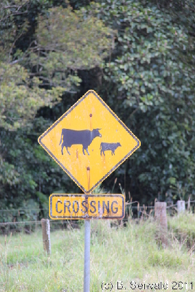 ATHERTONTABLELANDS20110725 124625