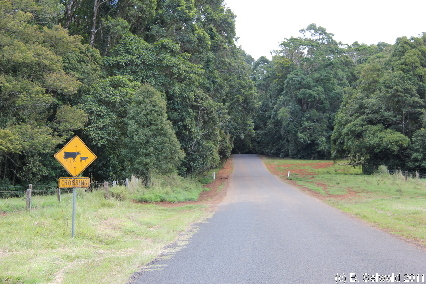 ATHERTONTABLELANDS20110725 124630